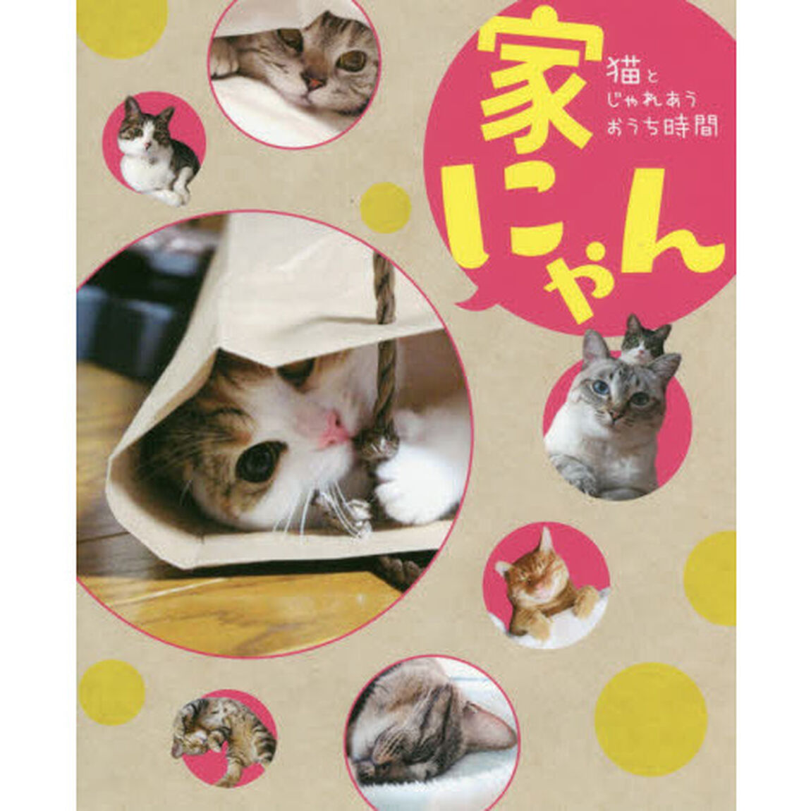 家にゃん　猫とじゃれあうおうち時間