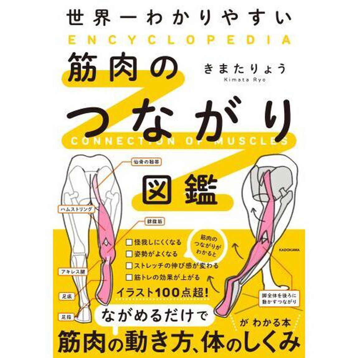 世界一わかりやすい筋肉のつながり図鑑