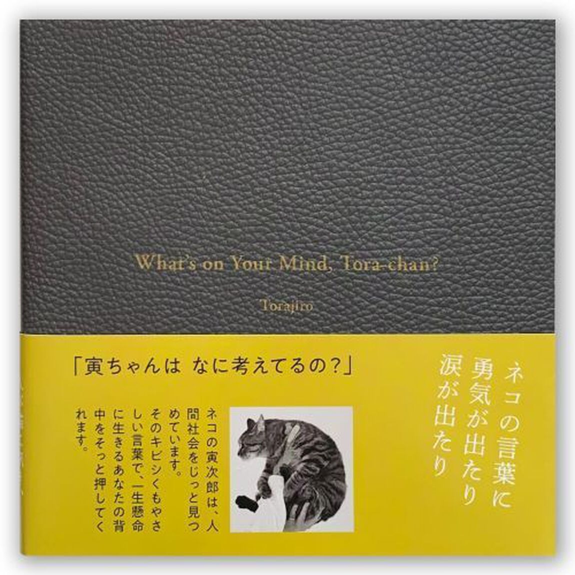 寅ちゃんはなに考えてるの？