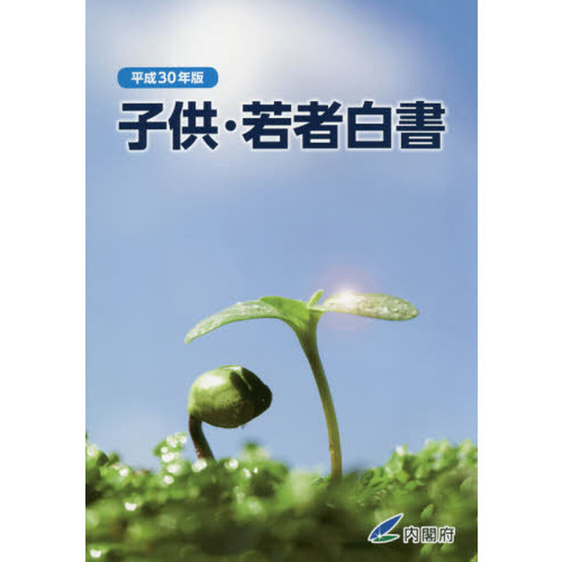 子供・若者白書　平成３０年版