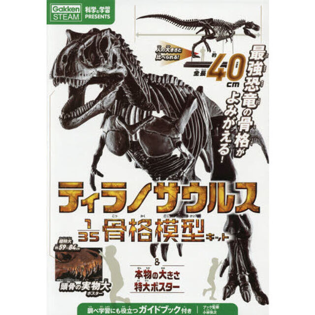 ティラノサウルス1/35骨格模型キット&本物の大きさ特大ポスター