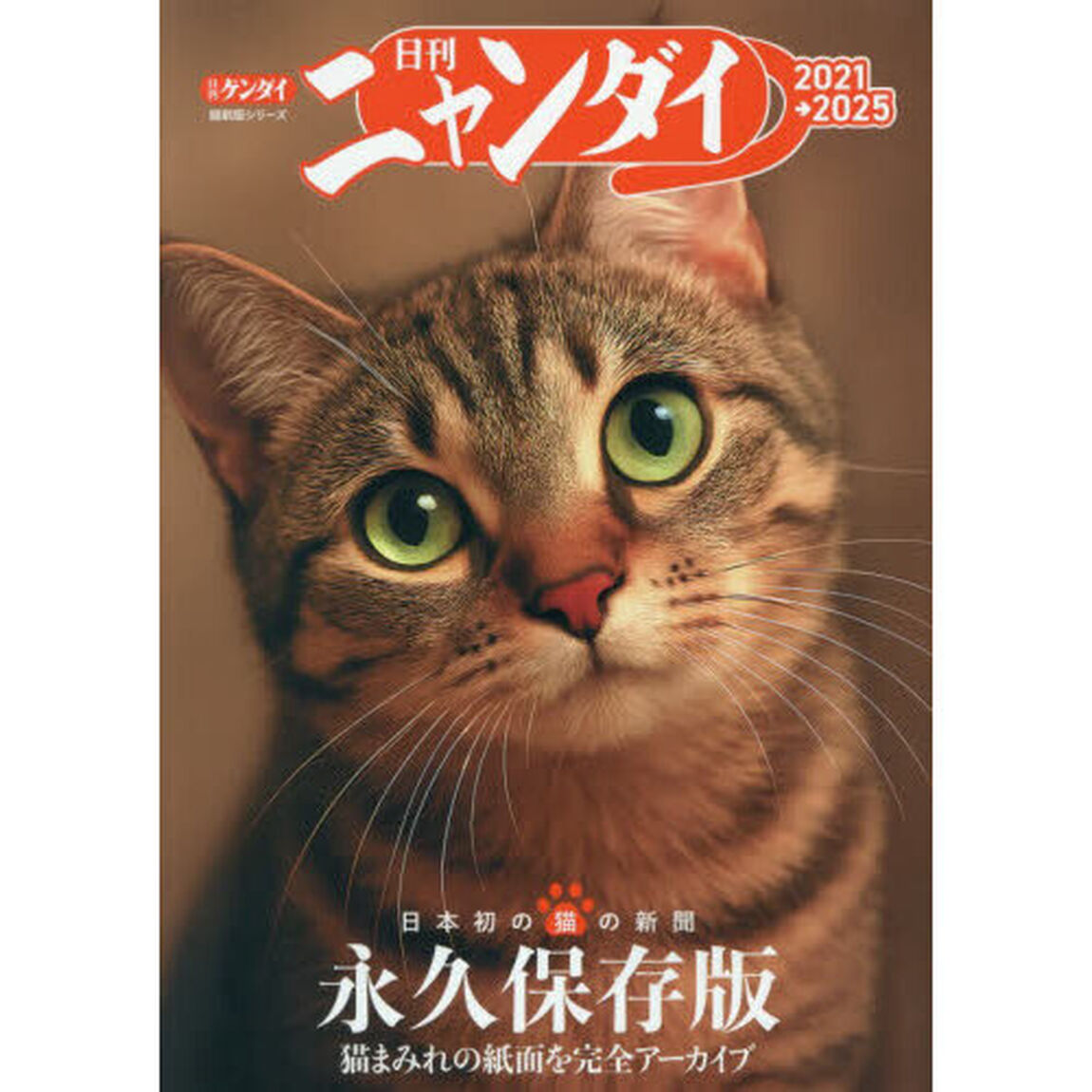 日刊ニャンダイ　２０２１&rarr;２０２５