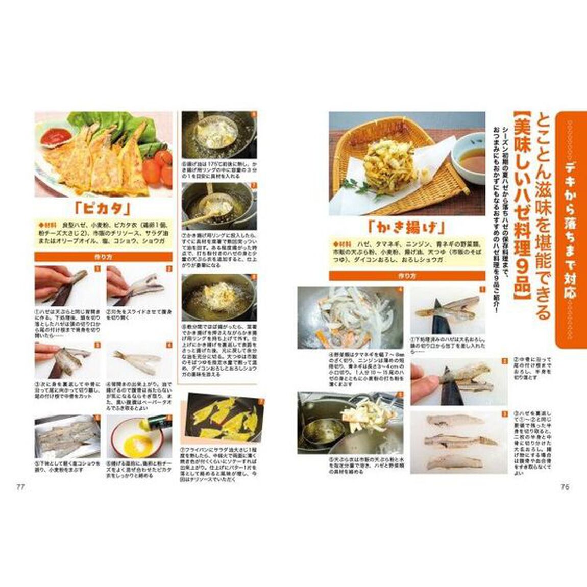 みんなのハゼ釣り　ファミリーからベテランまで楽しめる多彩な釣り方を徹底解説。料理、生態、釣り場案内も！