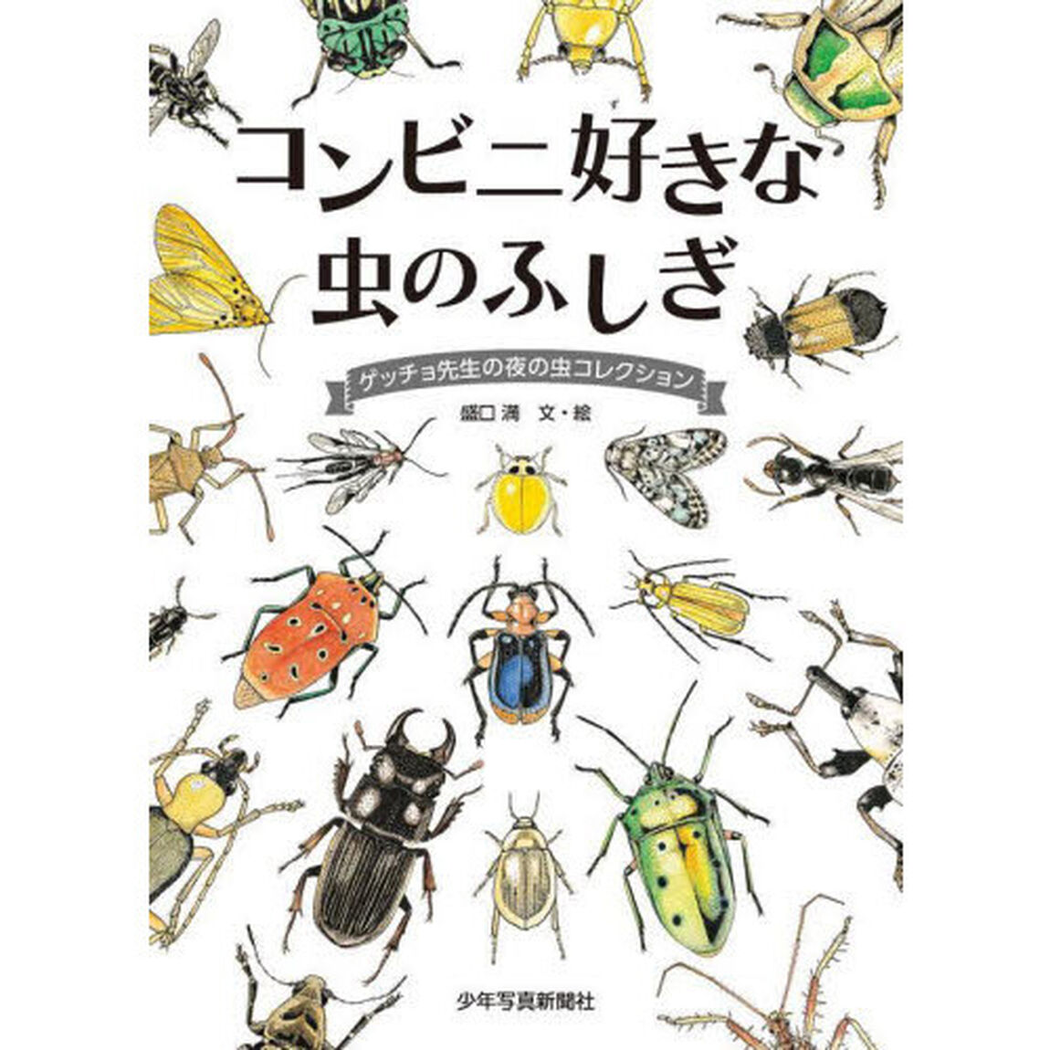 コンビニ好きな虫のふしぎ　ゲッチョ先生の夜の虫コレクション