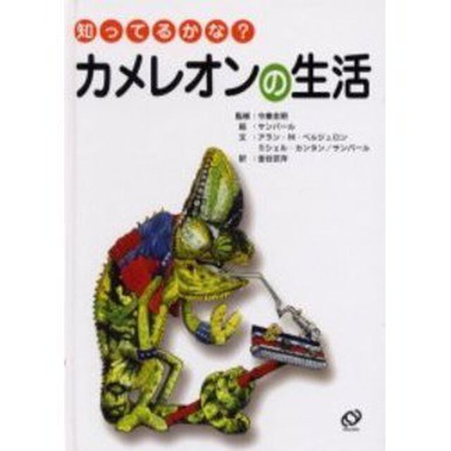 カメレオンの生活