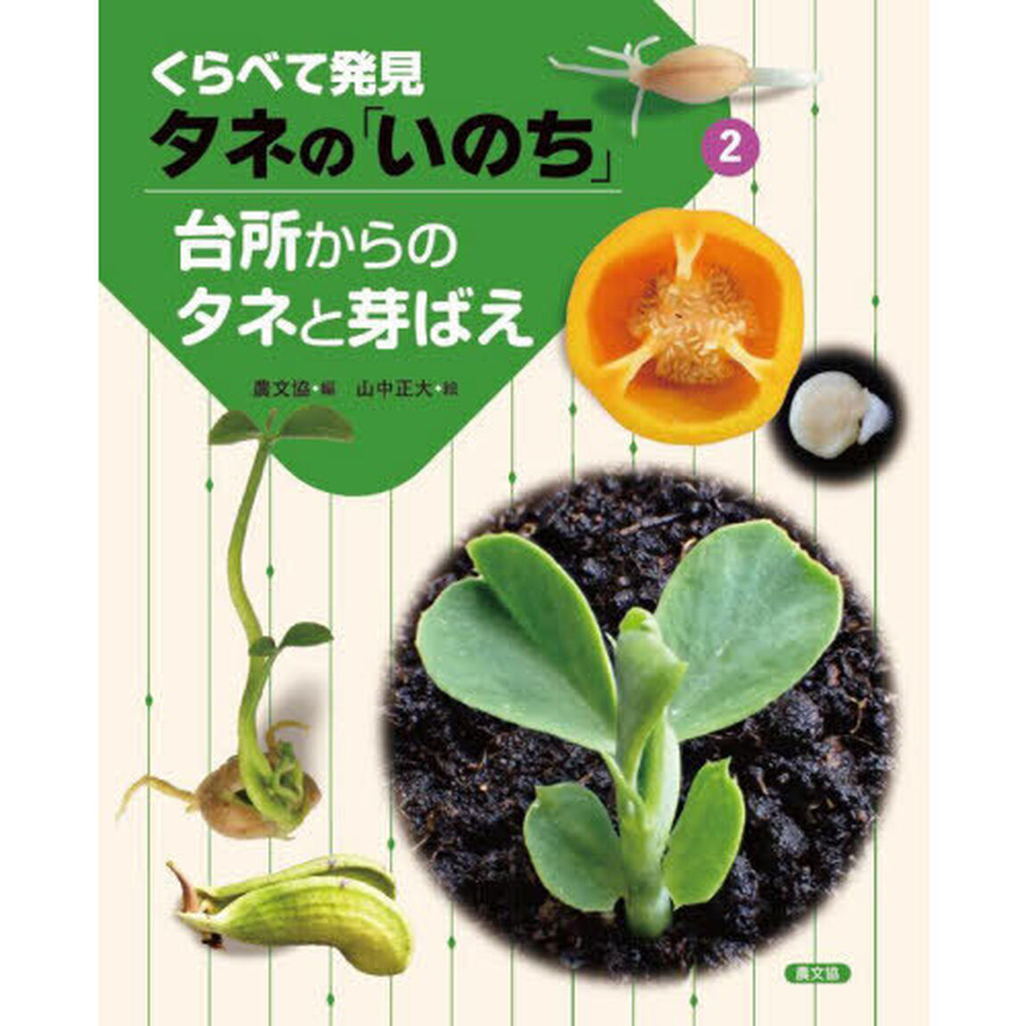 くらべて発見タネの「いのち」　２「台所からのタネと芽ばえ」