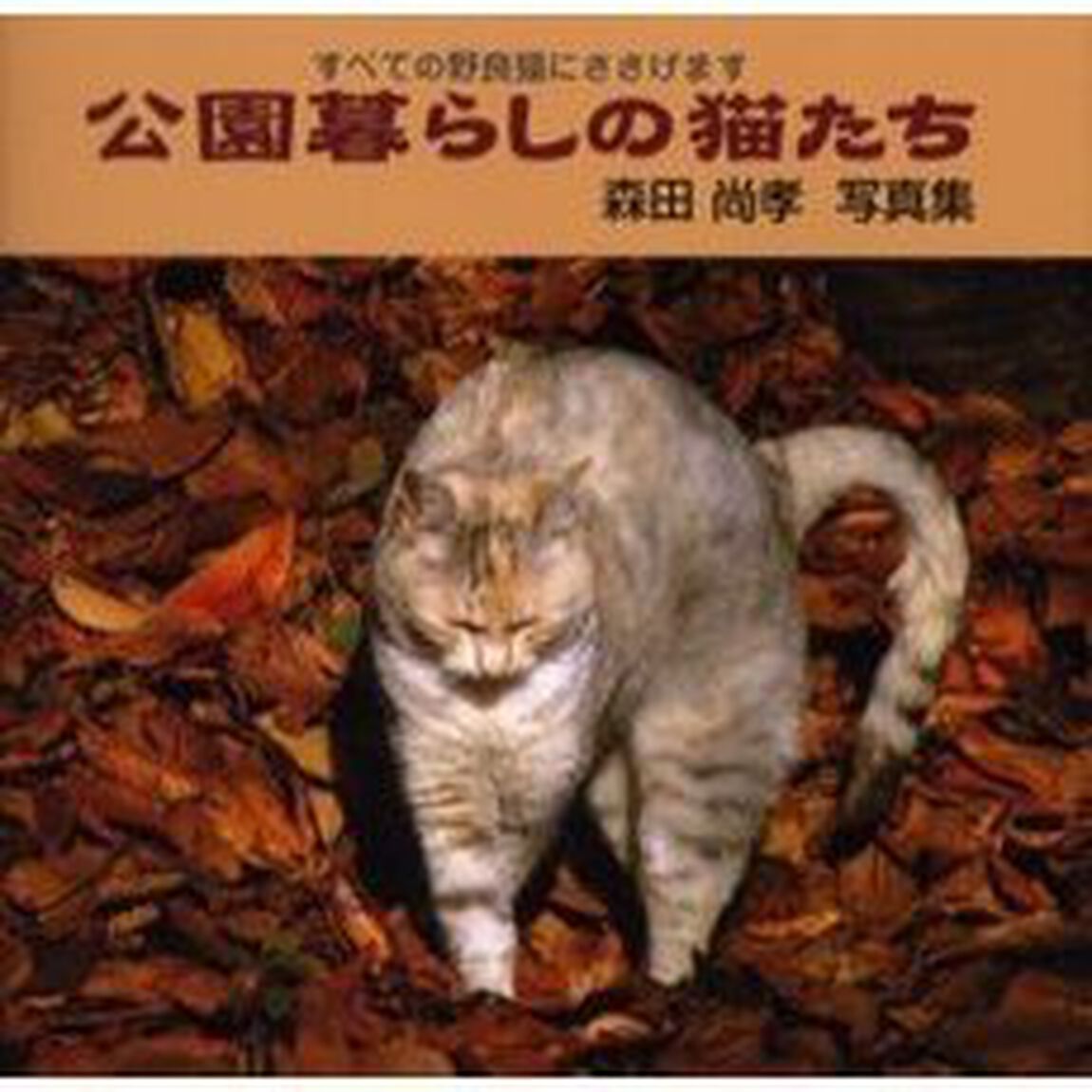 公園暮らしの猫たち―すべての野良猫にささげます (Bee Books)