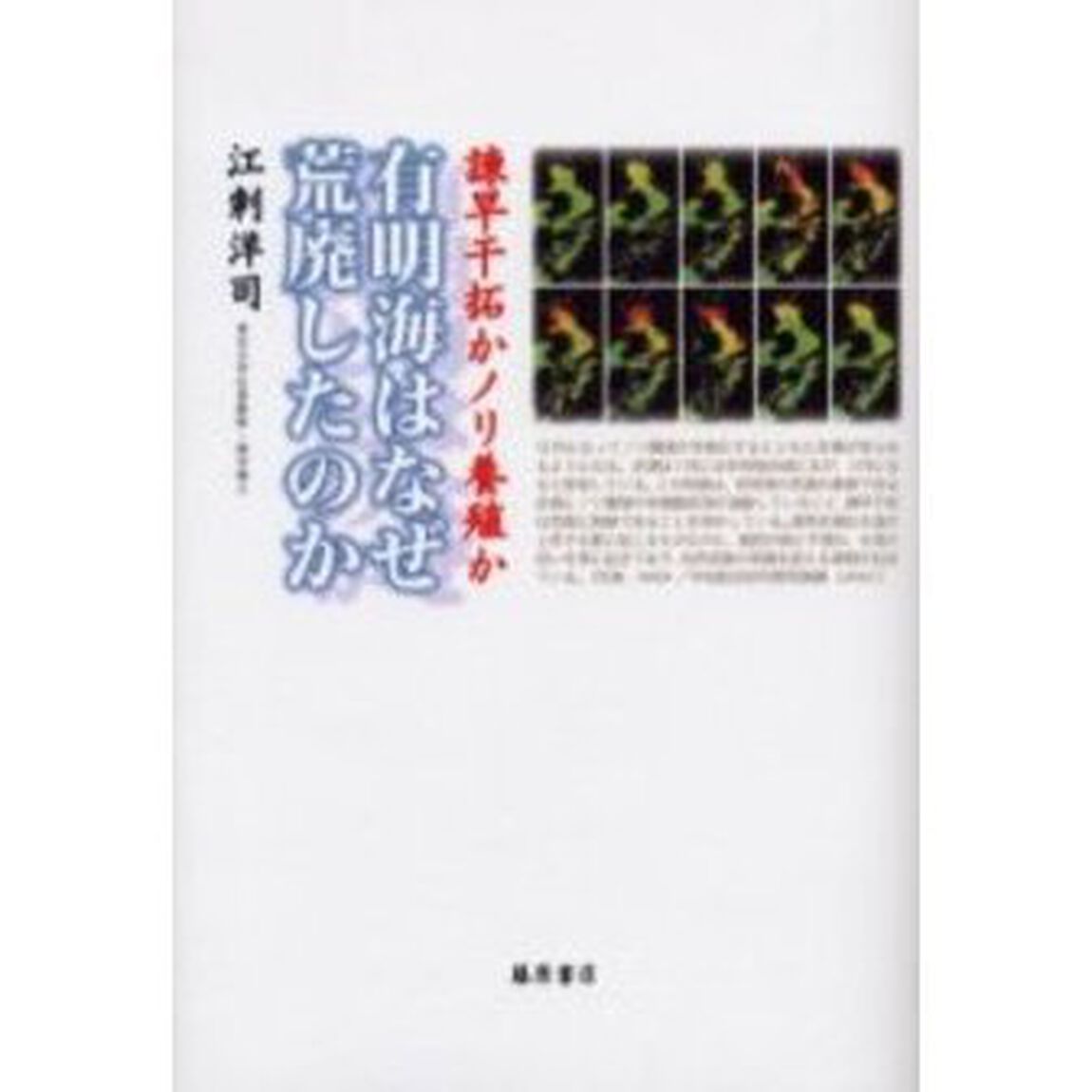 有明海はなぜ荒廃したのか　諌早干拓かノリ養殖か