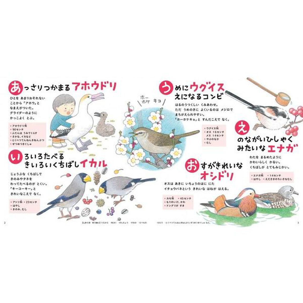 とりのずかん