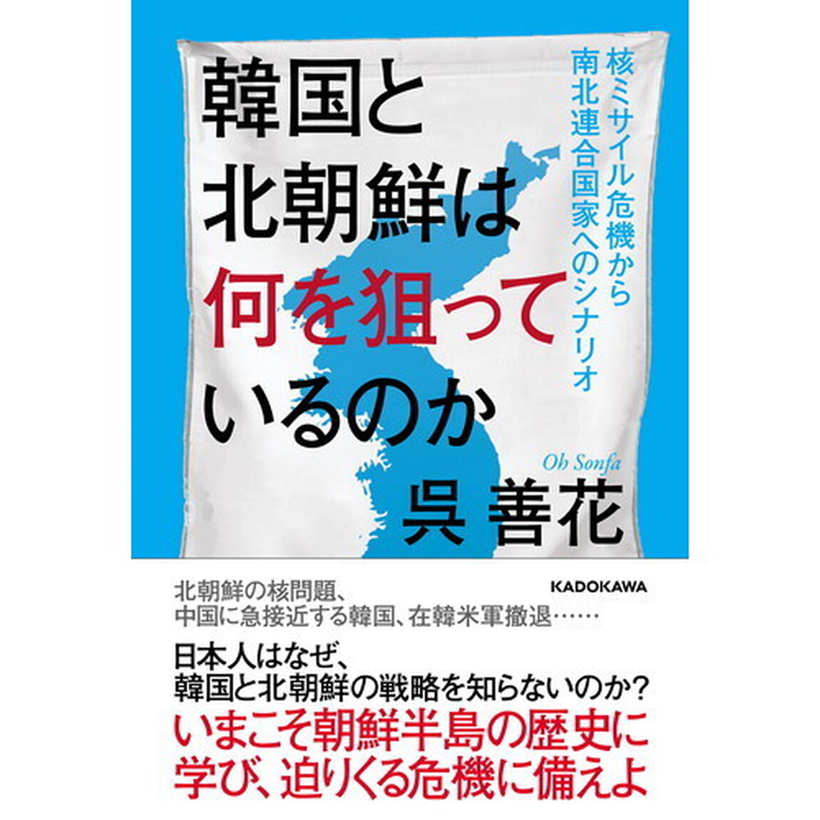 韓国と北朝鮮は何を狙っているのか　核ミサイル危機から南北連合国家へのシナリオ