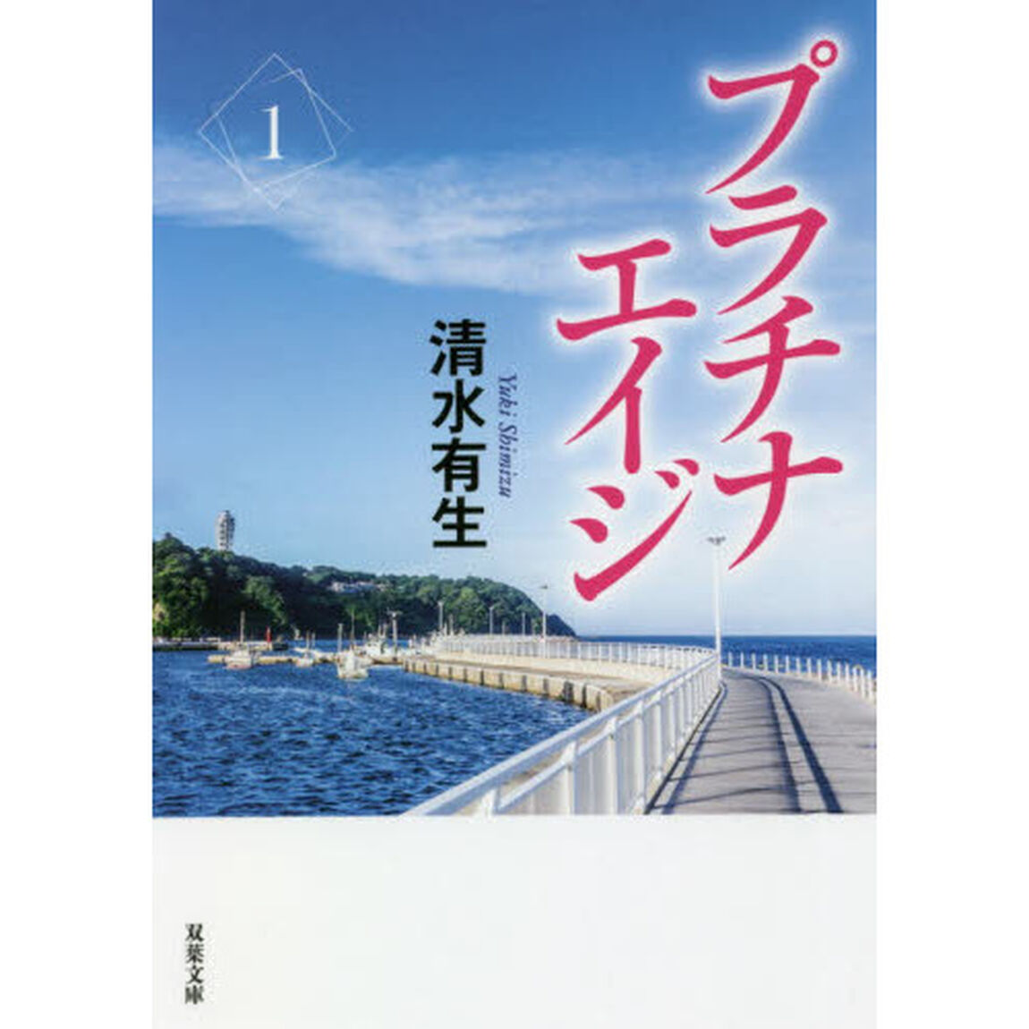 プラチナエイジ　１