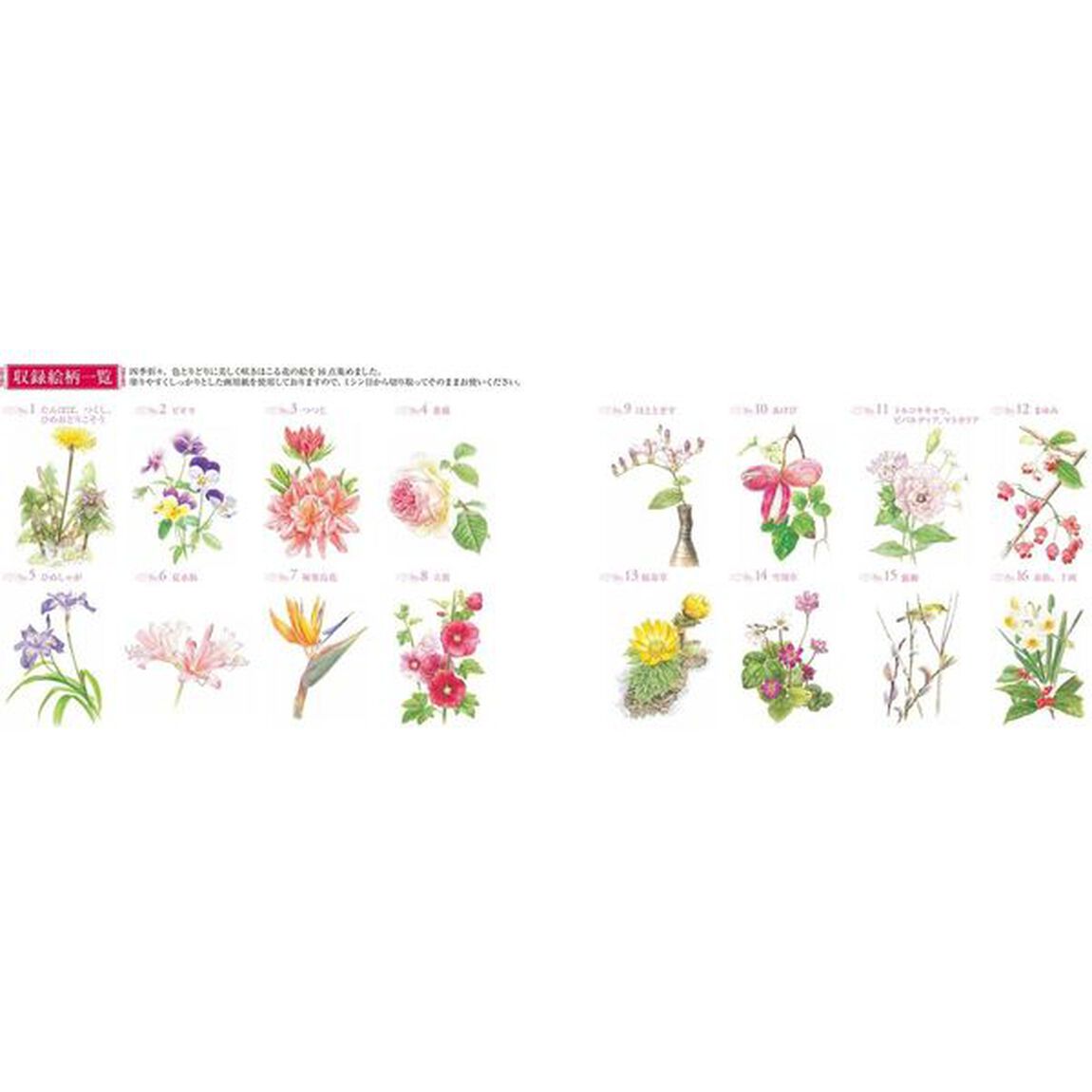 大人の塗り絵 POSTCARD BOOK 色鉛筆BOX 美しい季節の花編