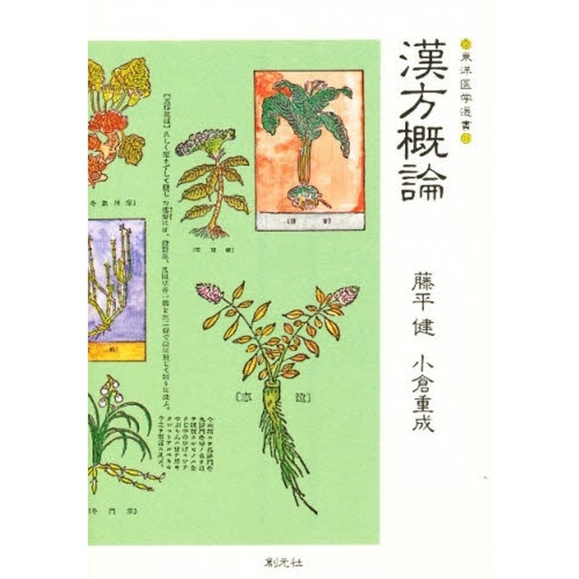 漢方概論