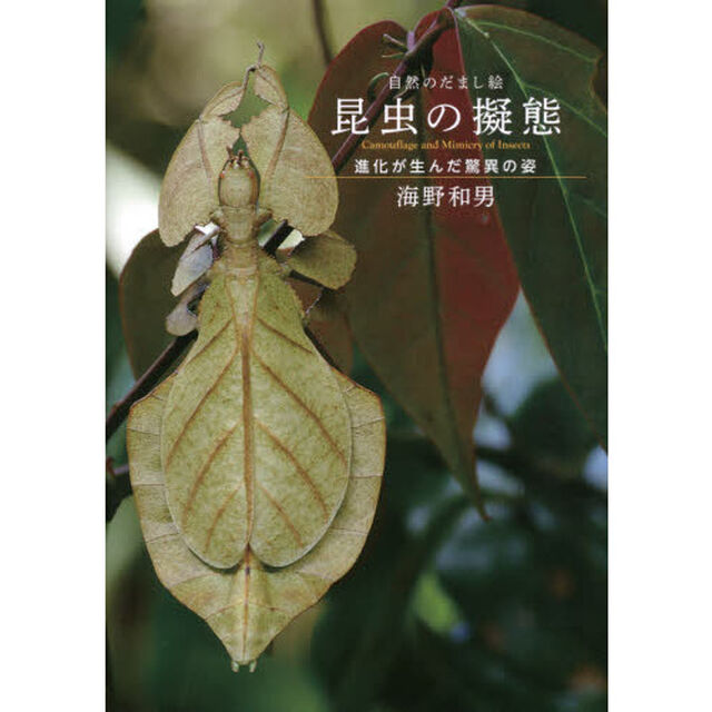昆虫の擬態　自然のだまし絵　進化が生んだ驚異の姿