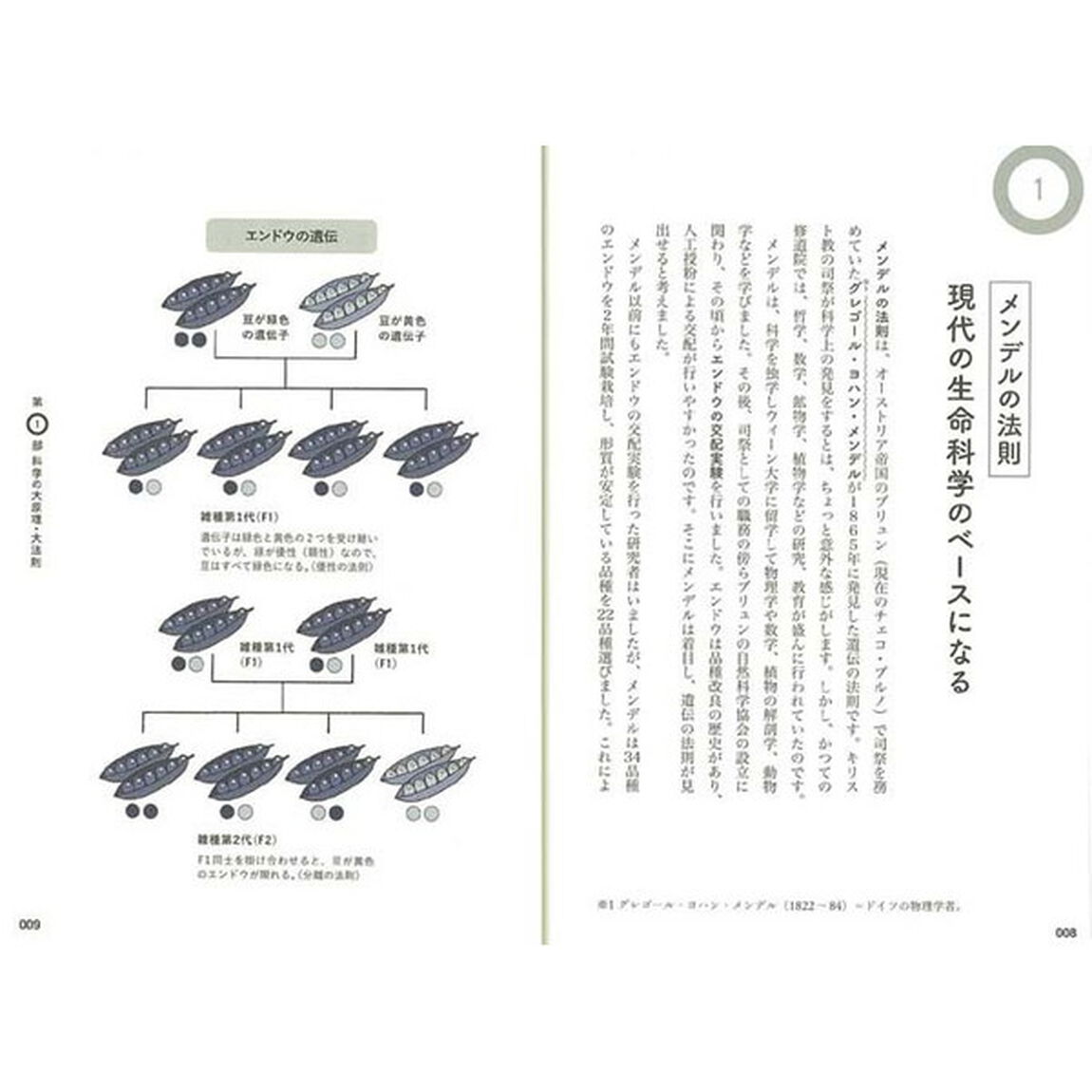 もう一度学びたい科学　毎日のニュースにも科学用語がいっぱい！