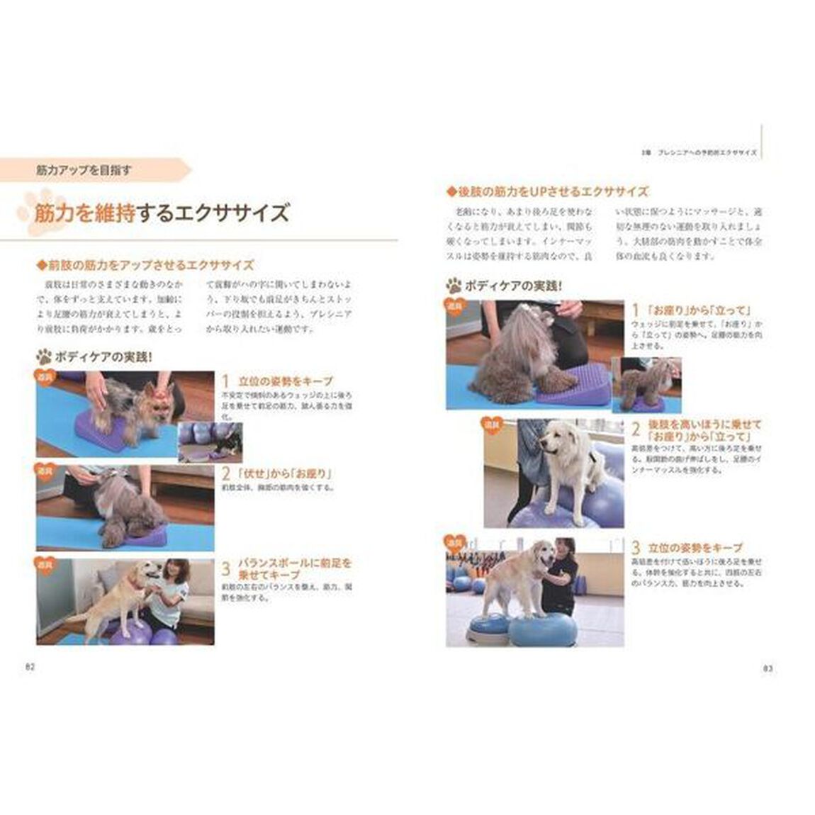 シニア犬のためのドッグマッサージ 健康サポートBOOK 目的・体調別の予防とボディケア