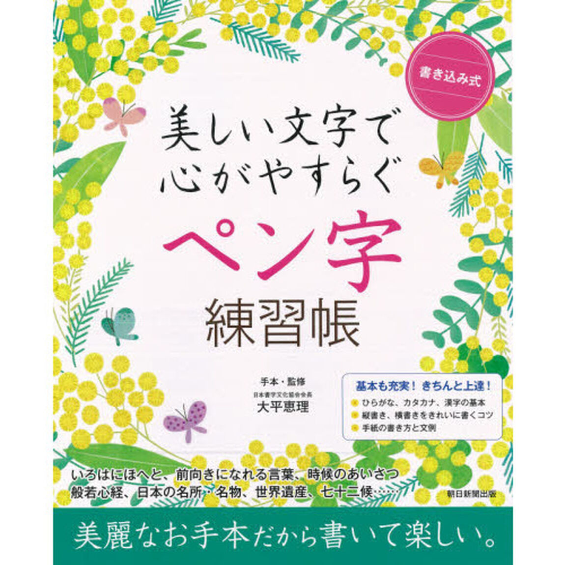 書き込み式美しい文字で心がやすらぐペン字練習帳