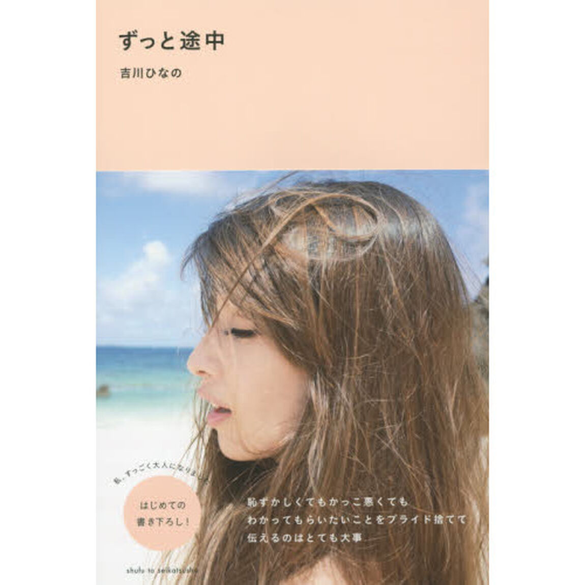 ずっと途中