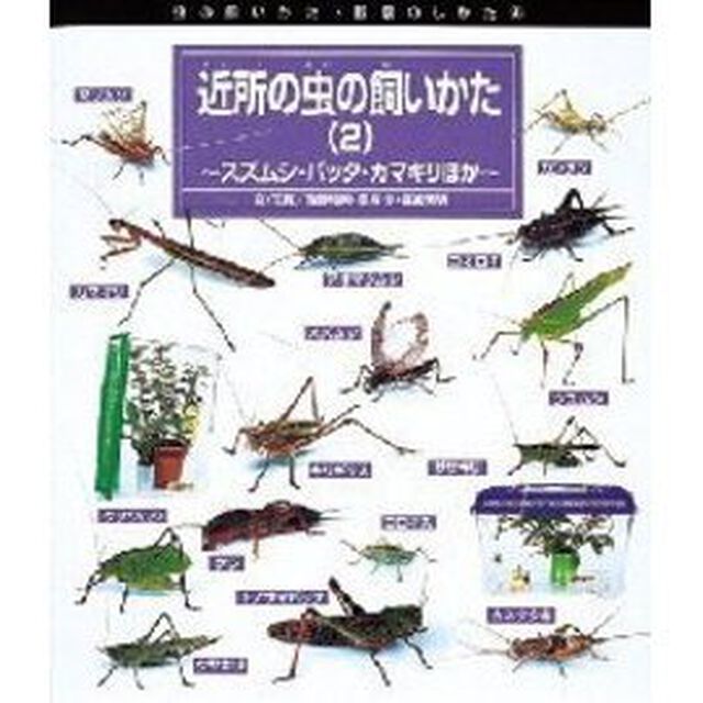 近所の虫の飼いかた　２「スズムシ・バッタ・カマキリほか」