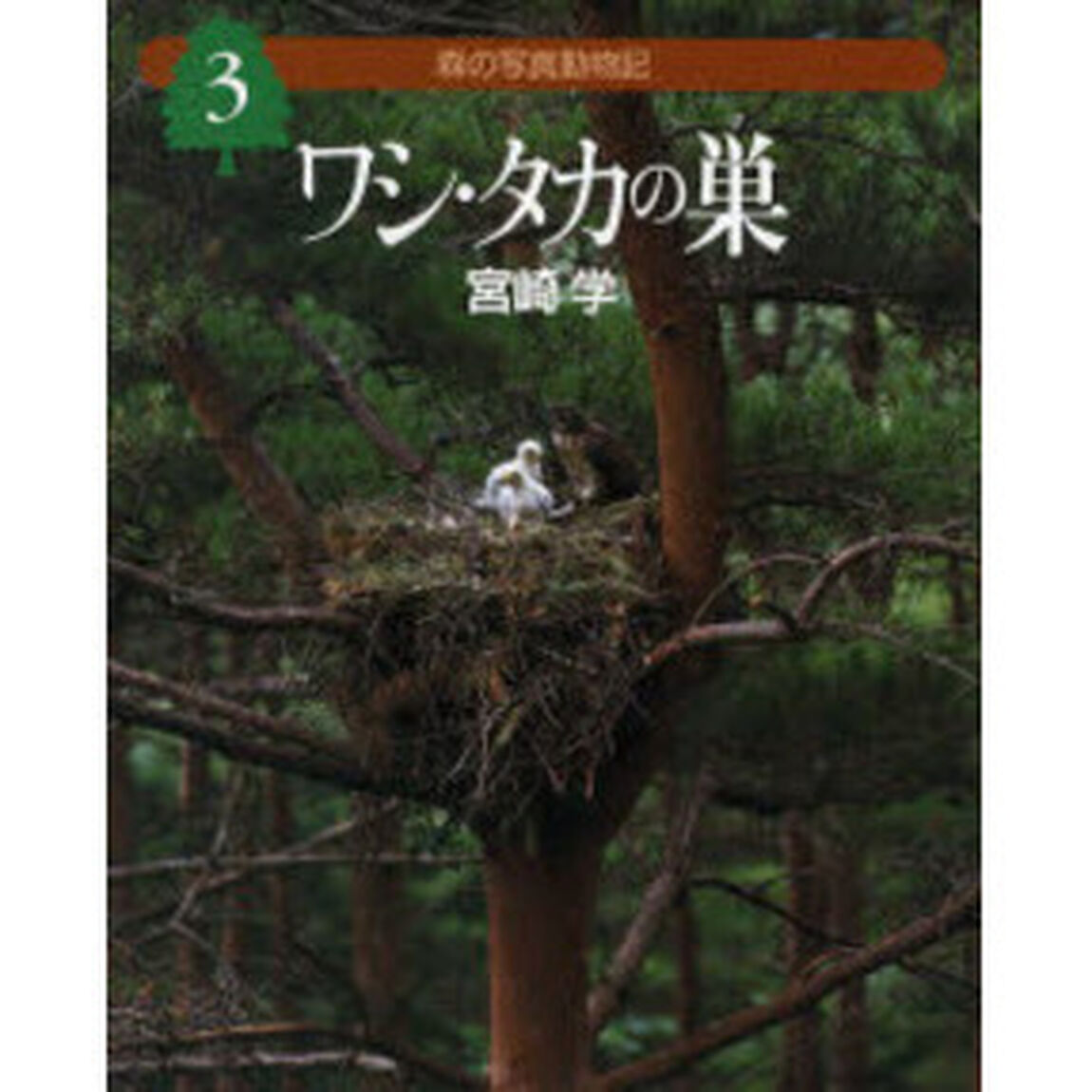 森の写真動物記　３「ワシ・タカの巣」