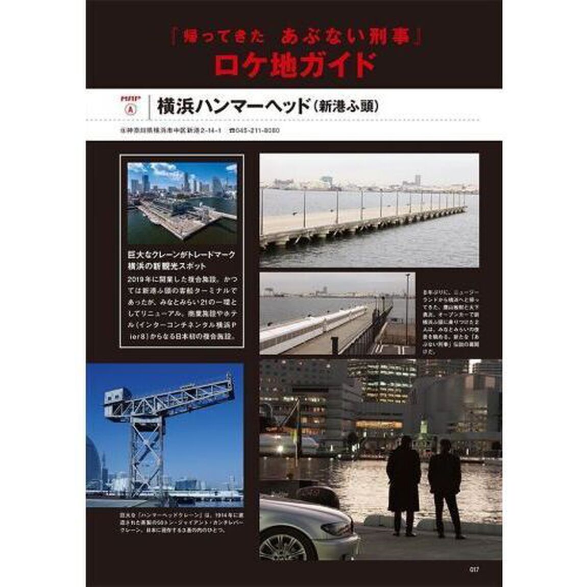あぶない刑事マニアックス