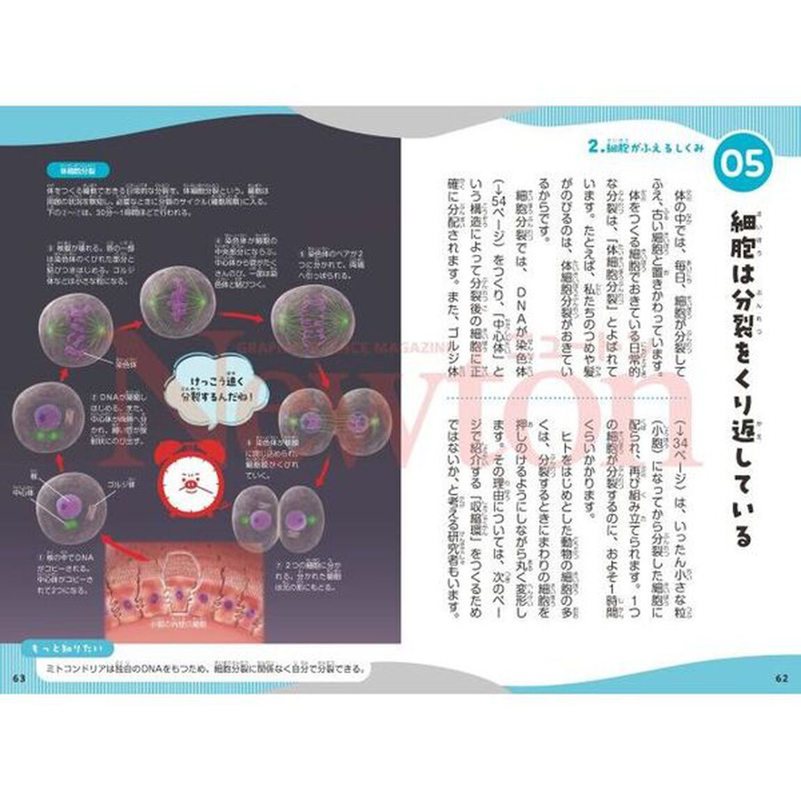 細胞の学校