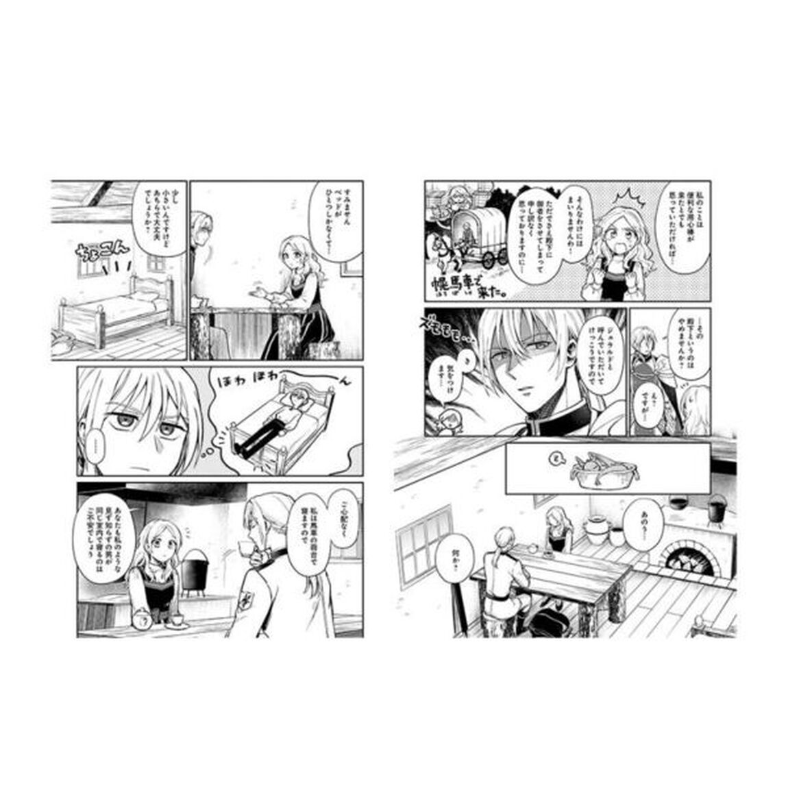 竜の子を産んだら離縁されたので森で隠居することにしました　２