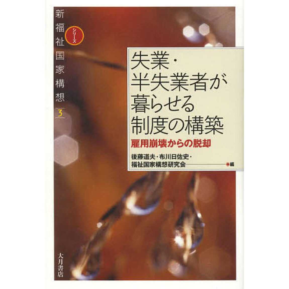失業・半失業者が暮らせる制度の構築　雇用崩壊からの脱却
