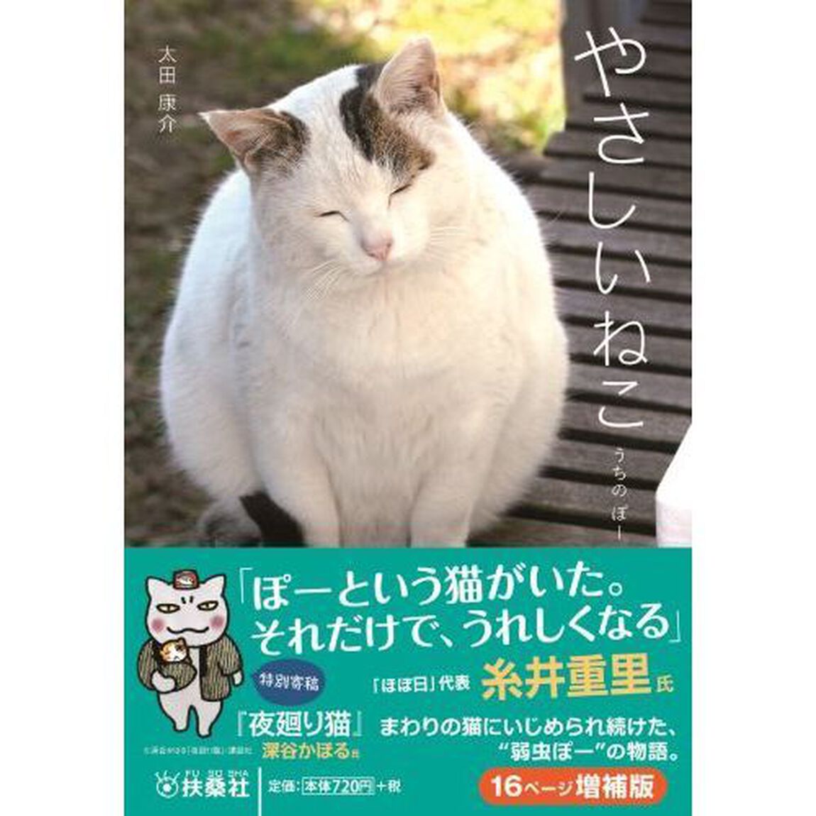 やさしいねこ　うちのぽー