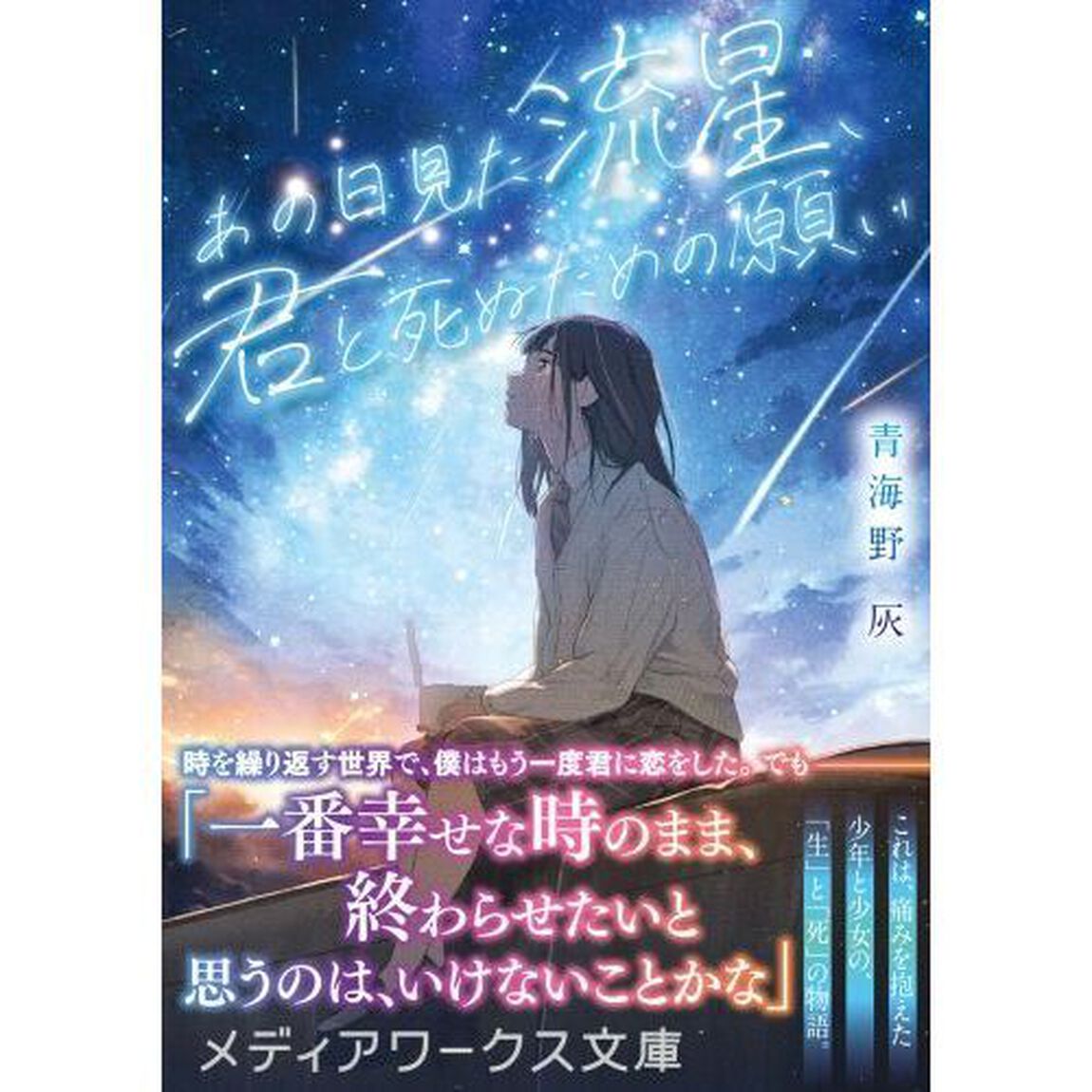 あの日見た流星、君と死ぬための願い