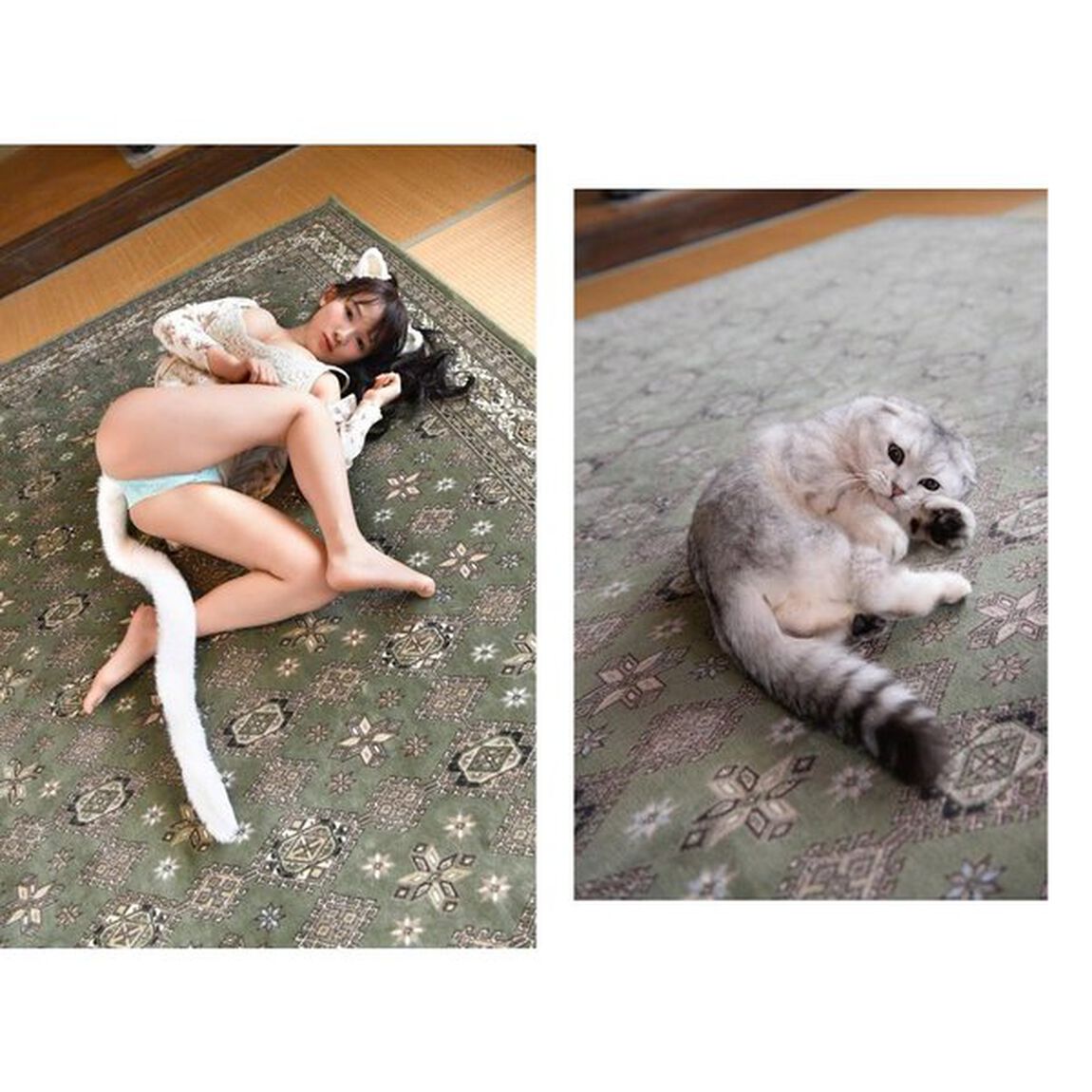 もしもうちの猫がかわいい女の子になったら