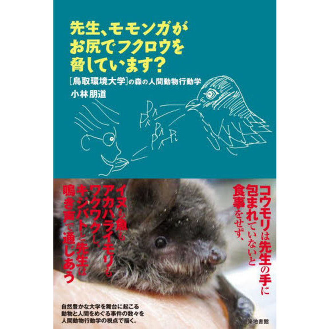 先生、モモンガがお尻でフクロウを脅しています？