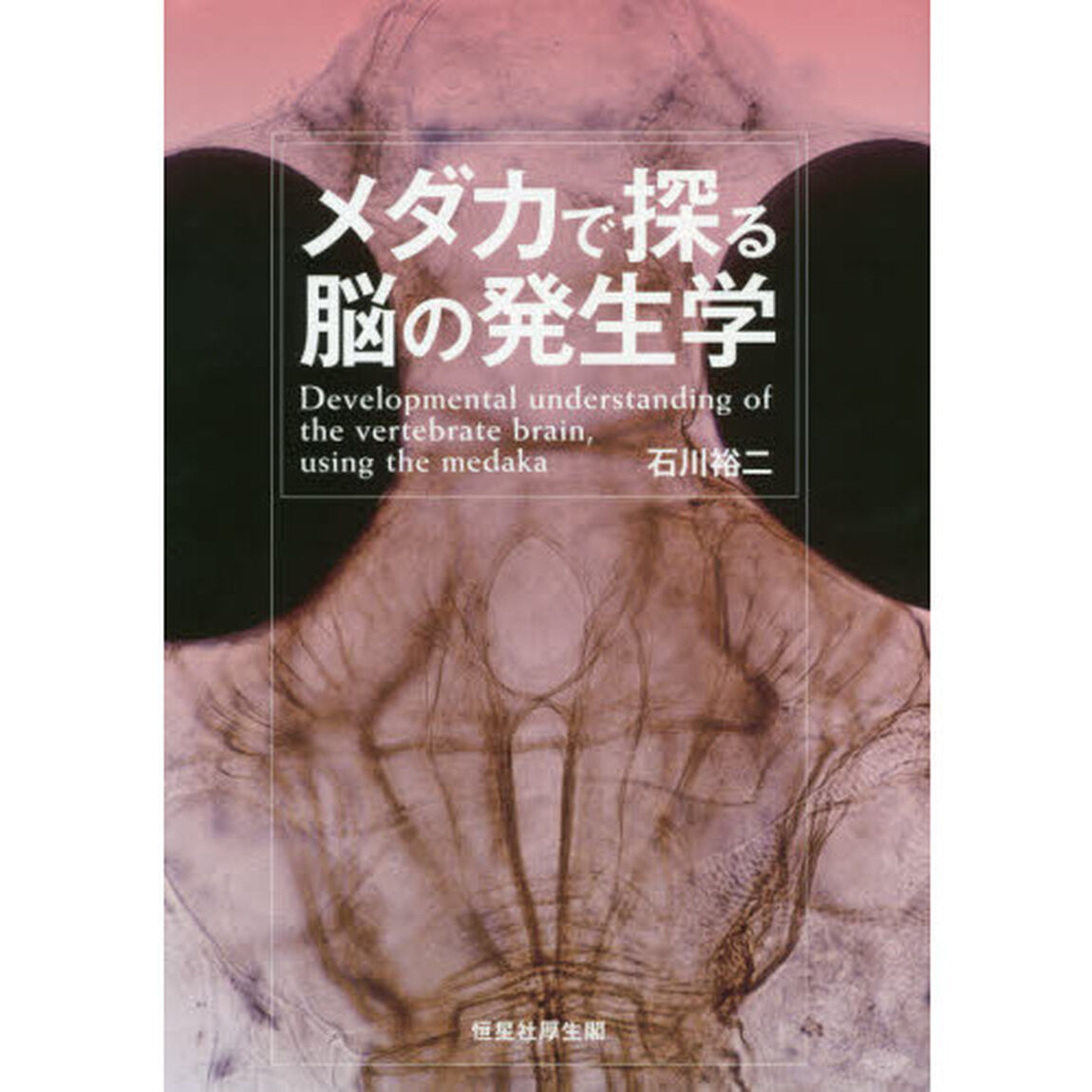 メダカで探る脳の発生学