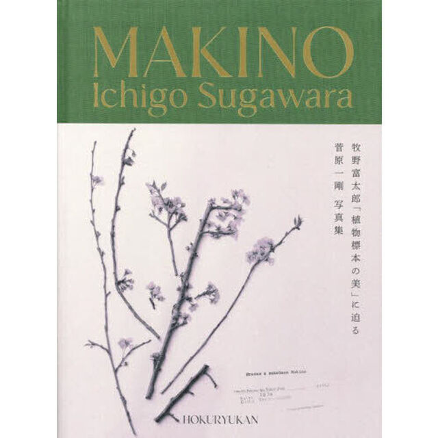 ＭＡＫＩＮＯ　植物の肖像