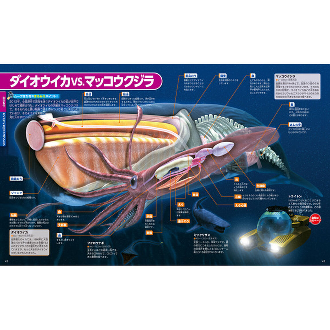 まるみえ図鑑　（講談社の動く図鑑ＭＯＶＥ）