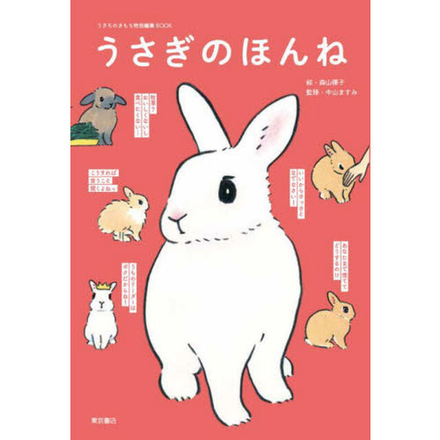 うさぎのほんね