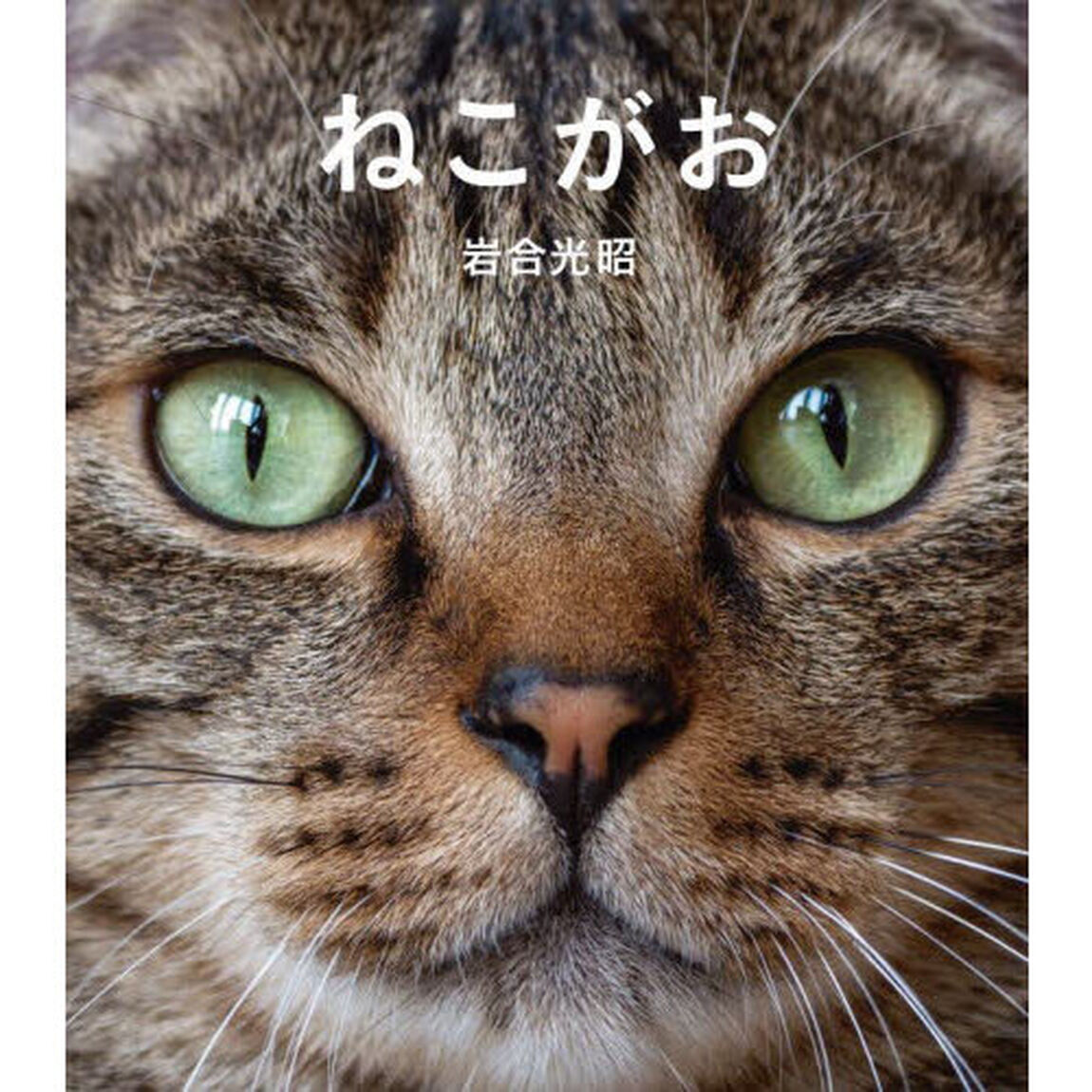 ねこがお