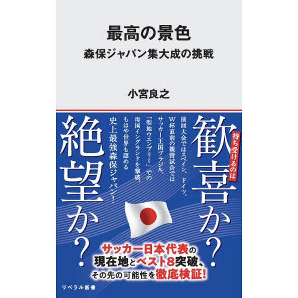 最高の景色　森保ジャパン集大成の挑戦