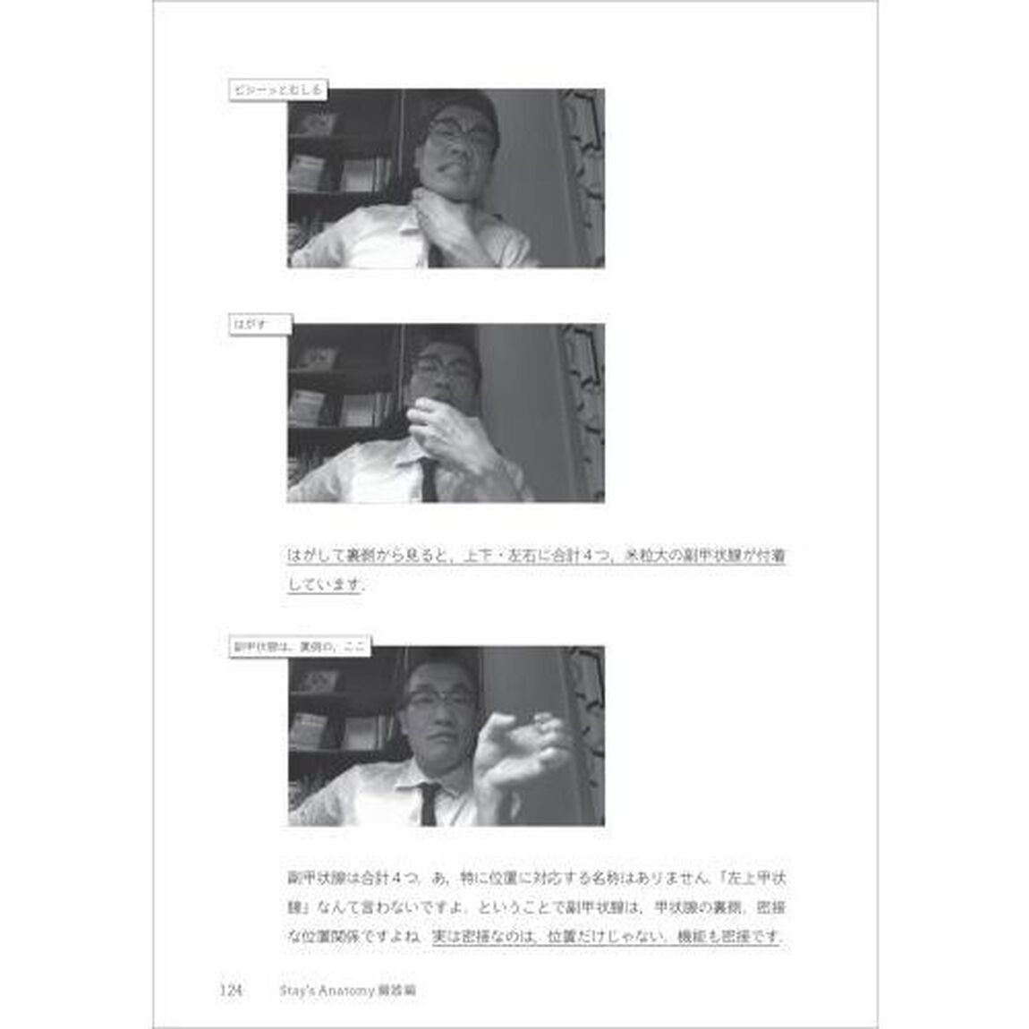 Ｓｔａｙ&rsquo;ｓ　Ａｎａｔｏｍｙ　臓器編