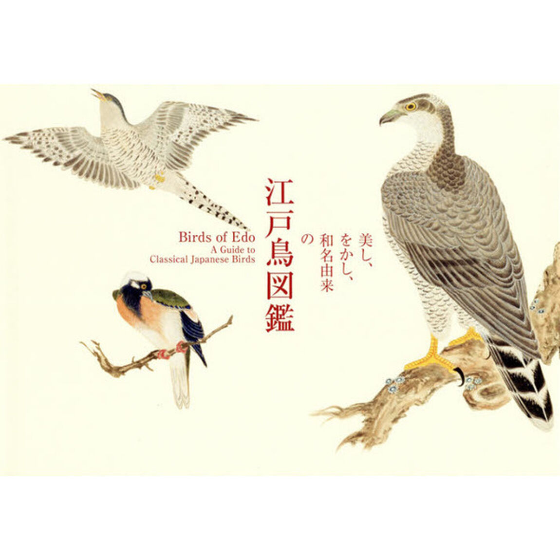 美し、をかし、和名由来の江戸鳥図鑑