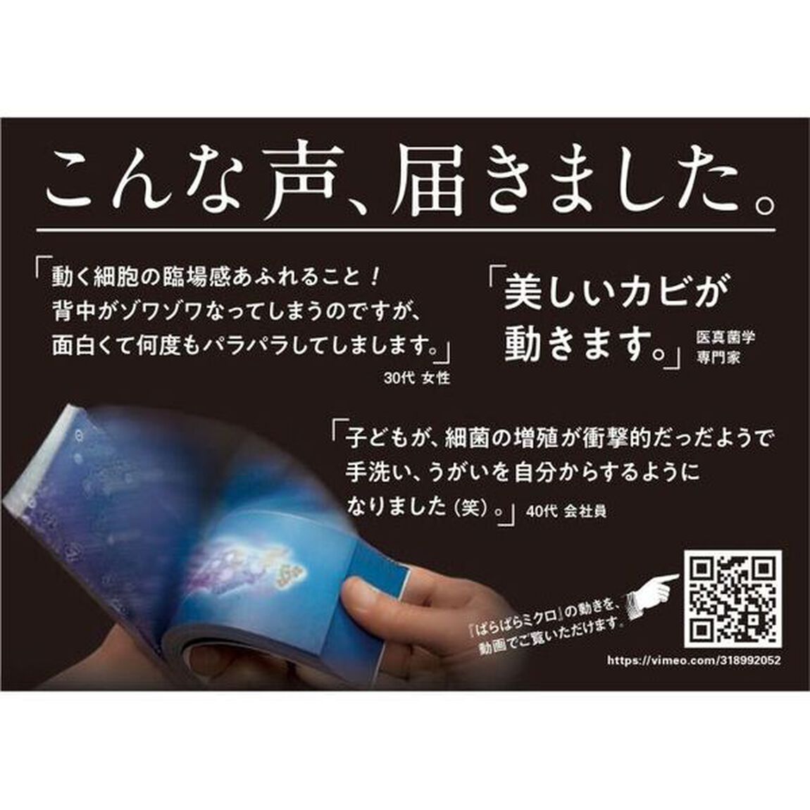 細菌の増殖　インフルエンザ菌