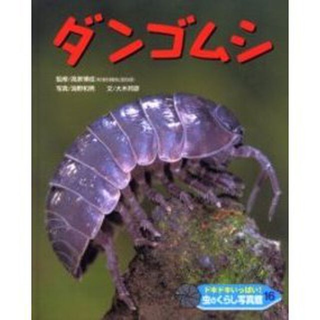 ドキドキいっぱい！虫のくらし写真館　１６「ダンゴムシ」