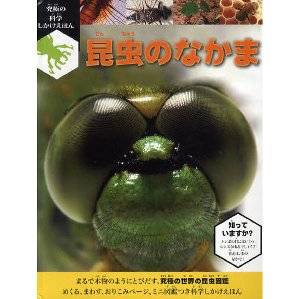 昆虫のなかま　究極の科学しかけえほん