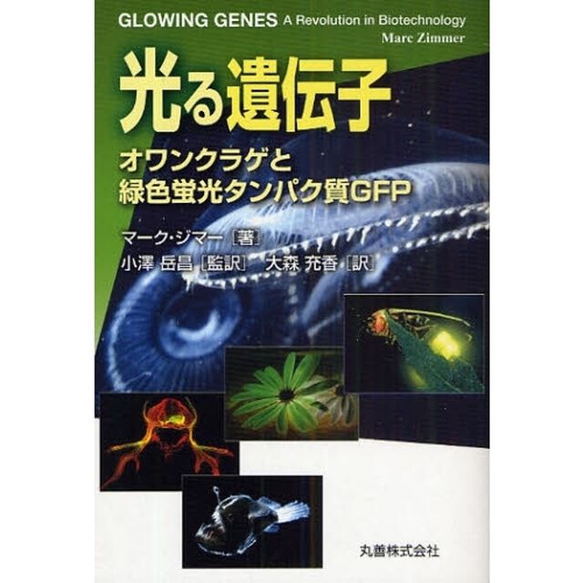 光る遺伝子　オワンクラゲと緑色蛍光タンパク質ＧＦＰ