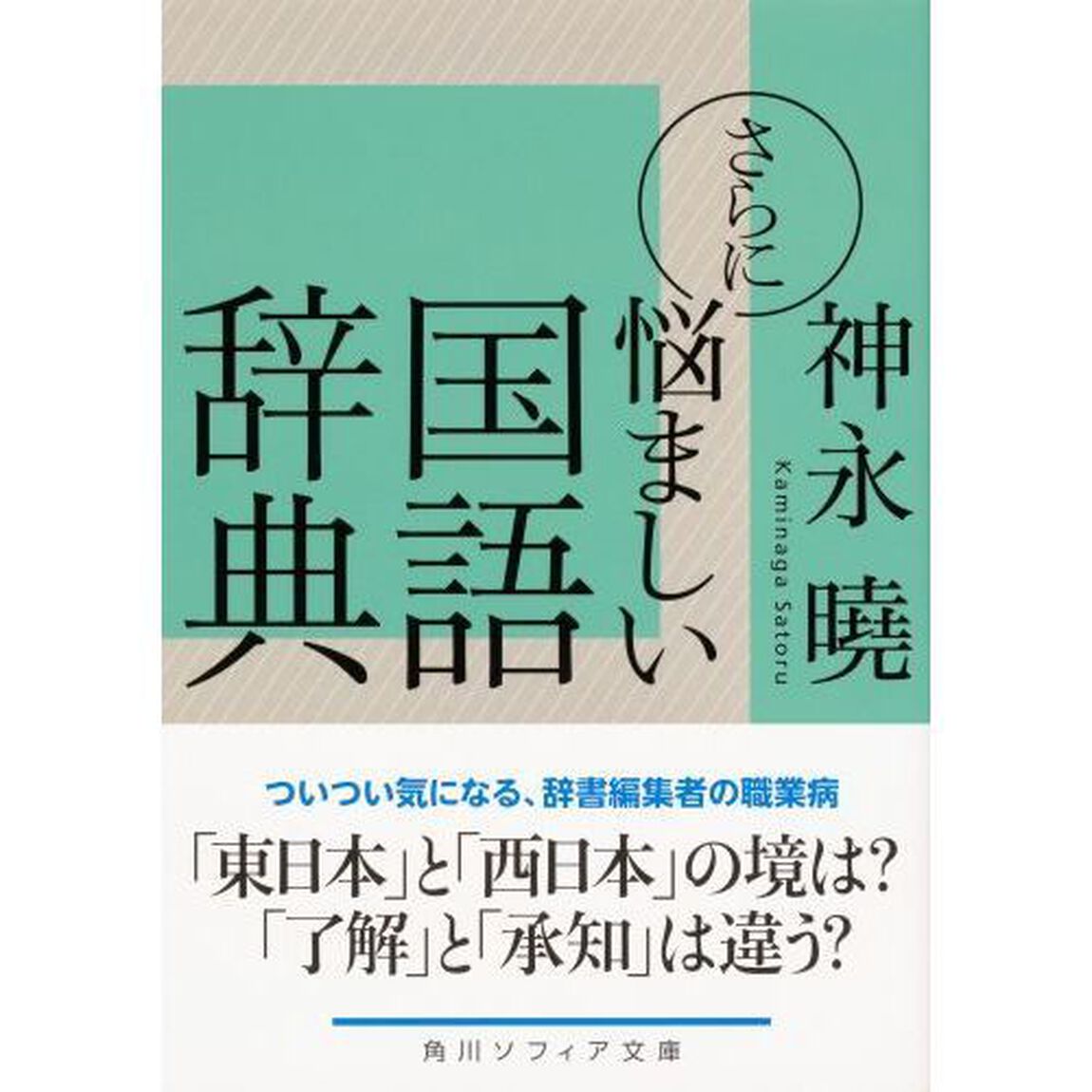 さらに悩ましい国語辞典