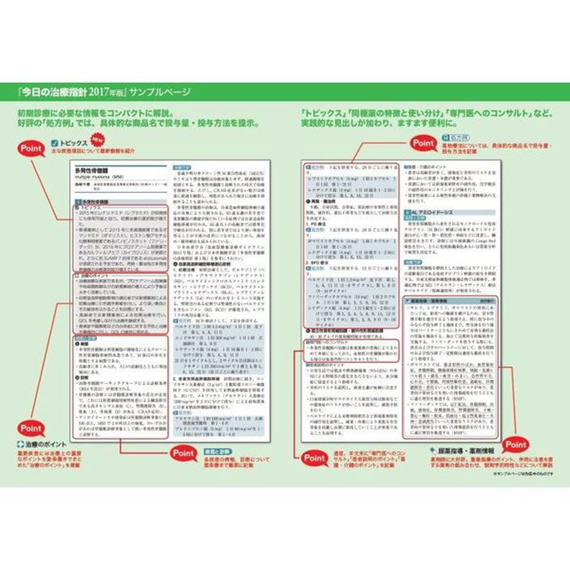 今日の治療指針　私はこう治療している　２０１７　デスク判