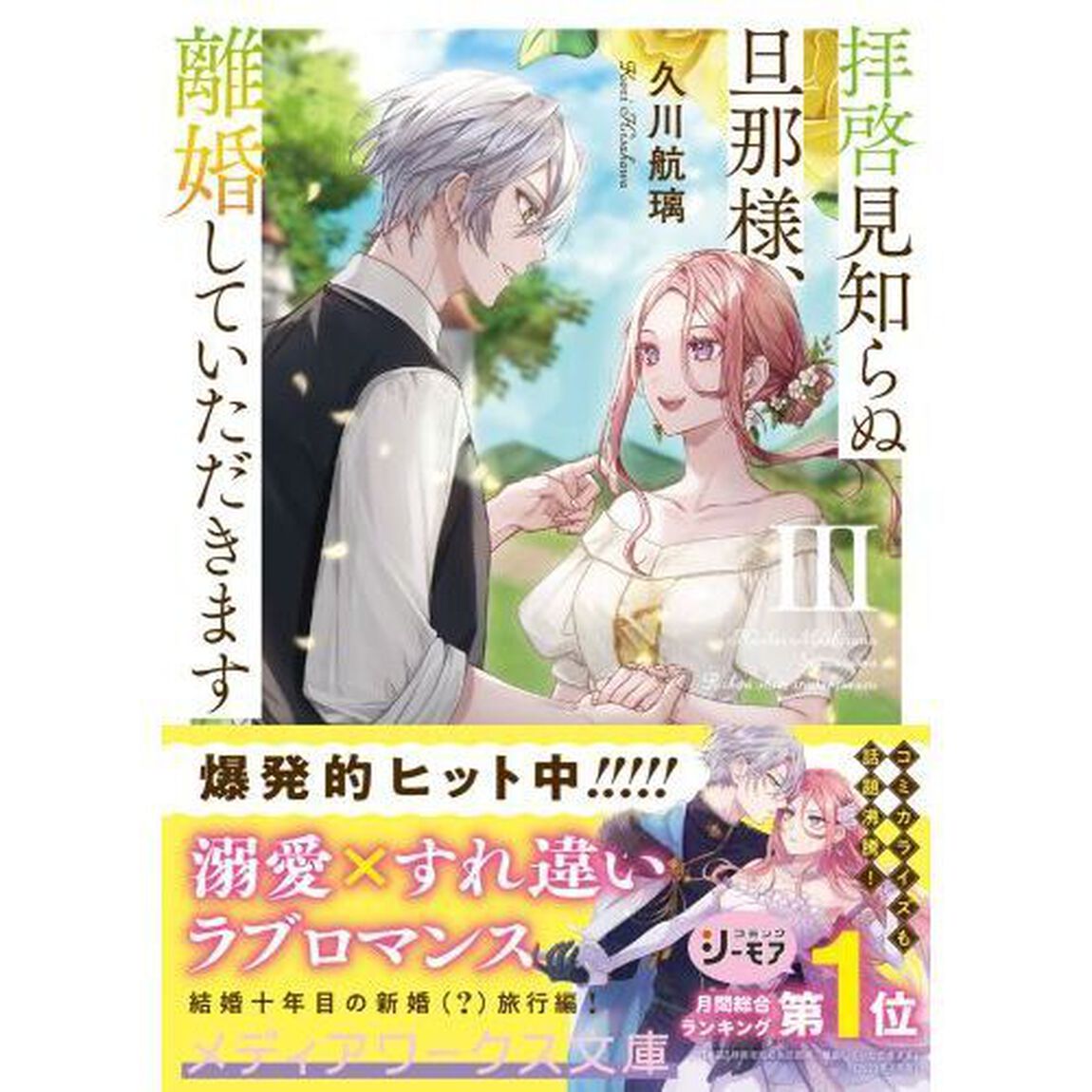 拝啓見知らぬ旦那様、離婚していただきます　３