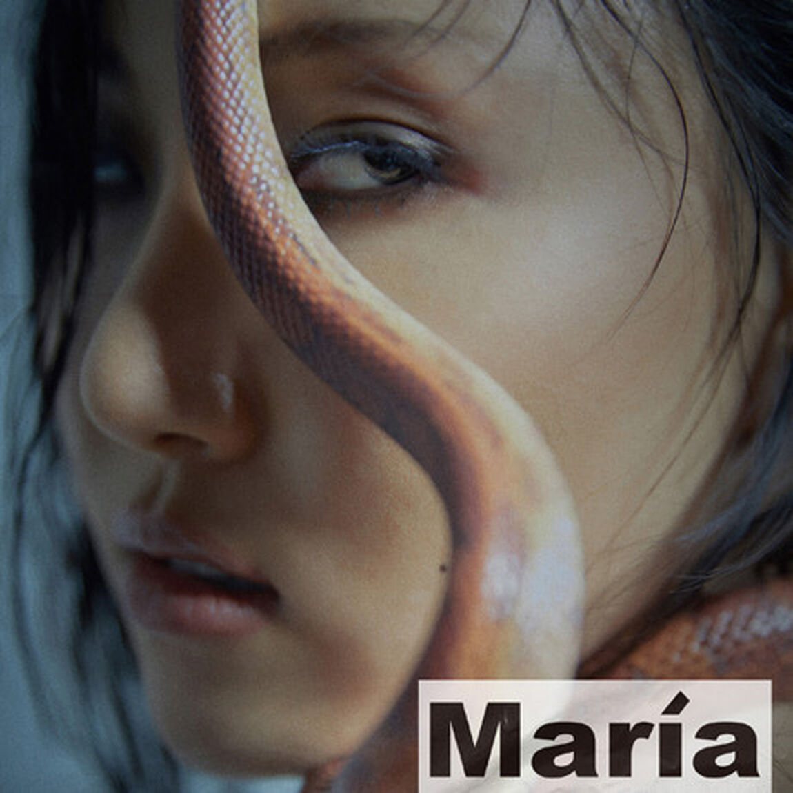 HWA SA (MAMAMOO)/1ST MINI ALBUM : MARIA（輸入盤）（ＣＤ）