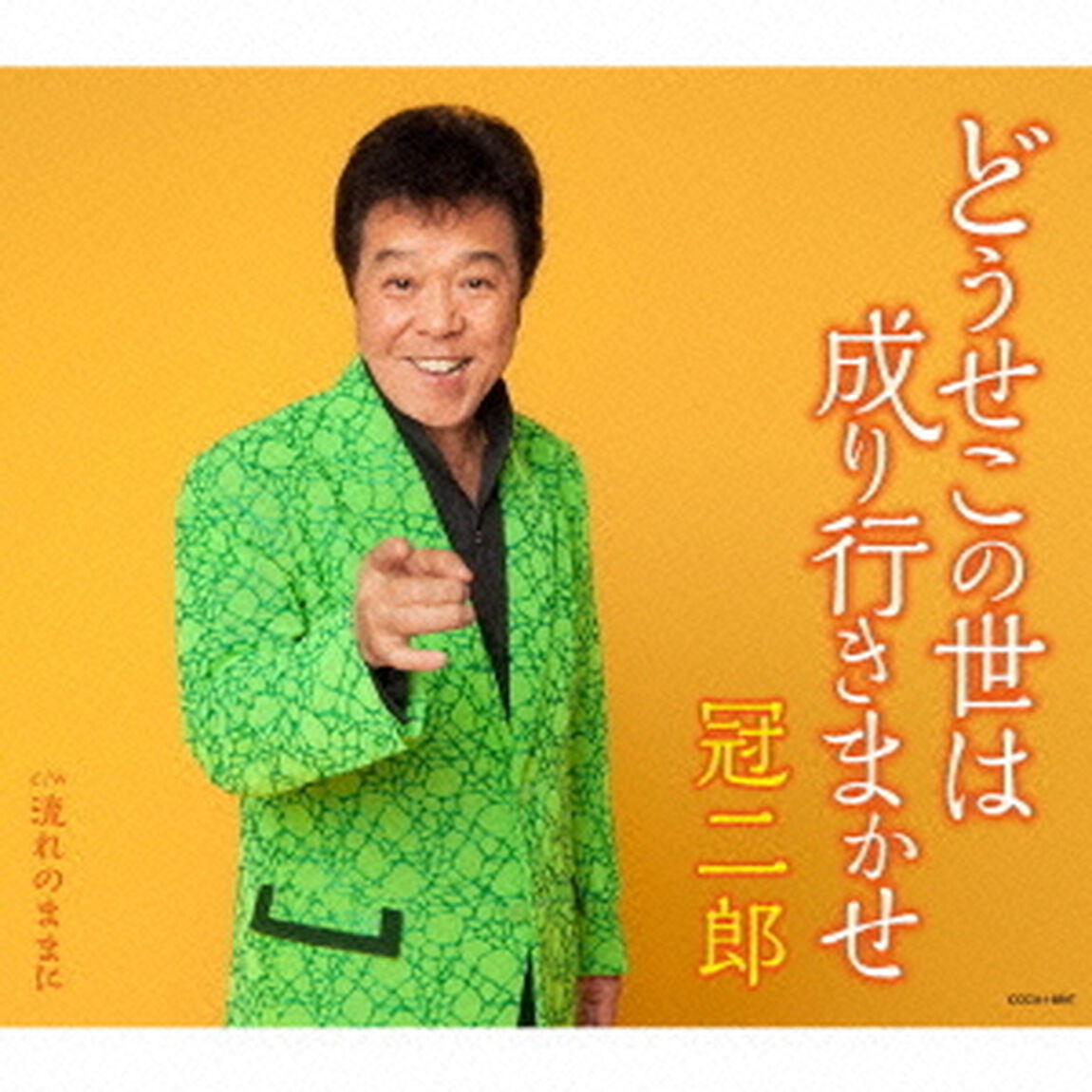 どうせこの世は成り行きまかせ（ＣＤ）
