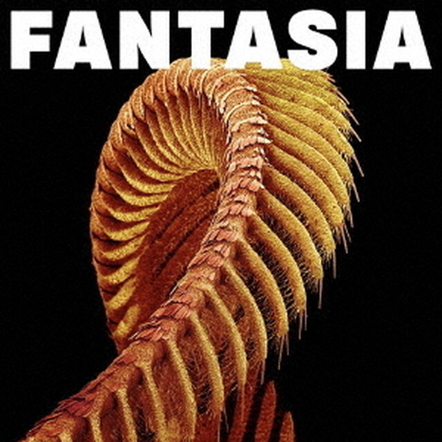FANTASIA（ＣＤ）